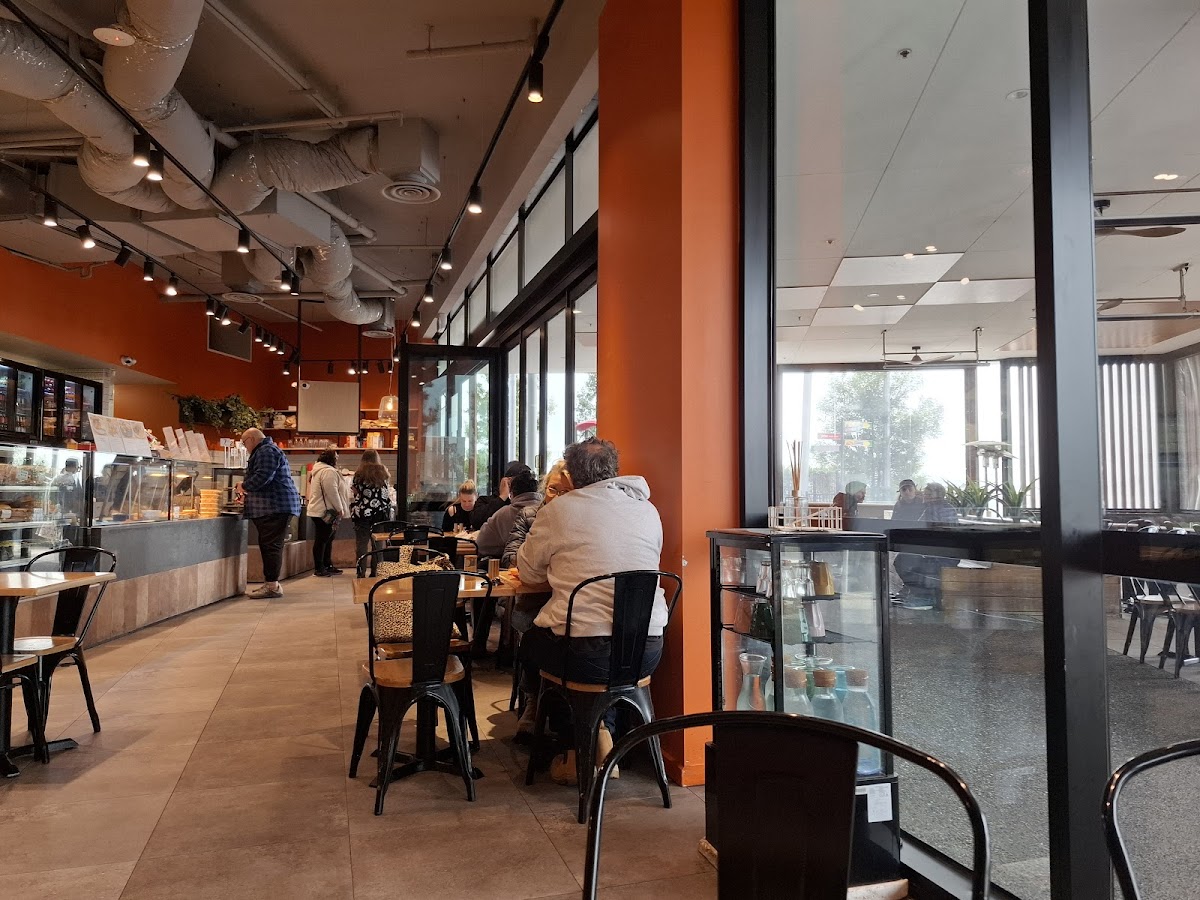 Coffee Bean Cafe Photos 2