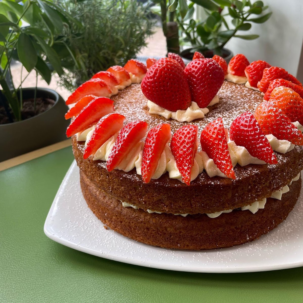 Plant Faced Coffee Shop